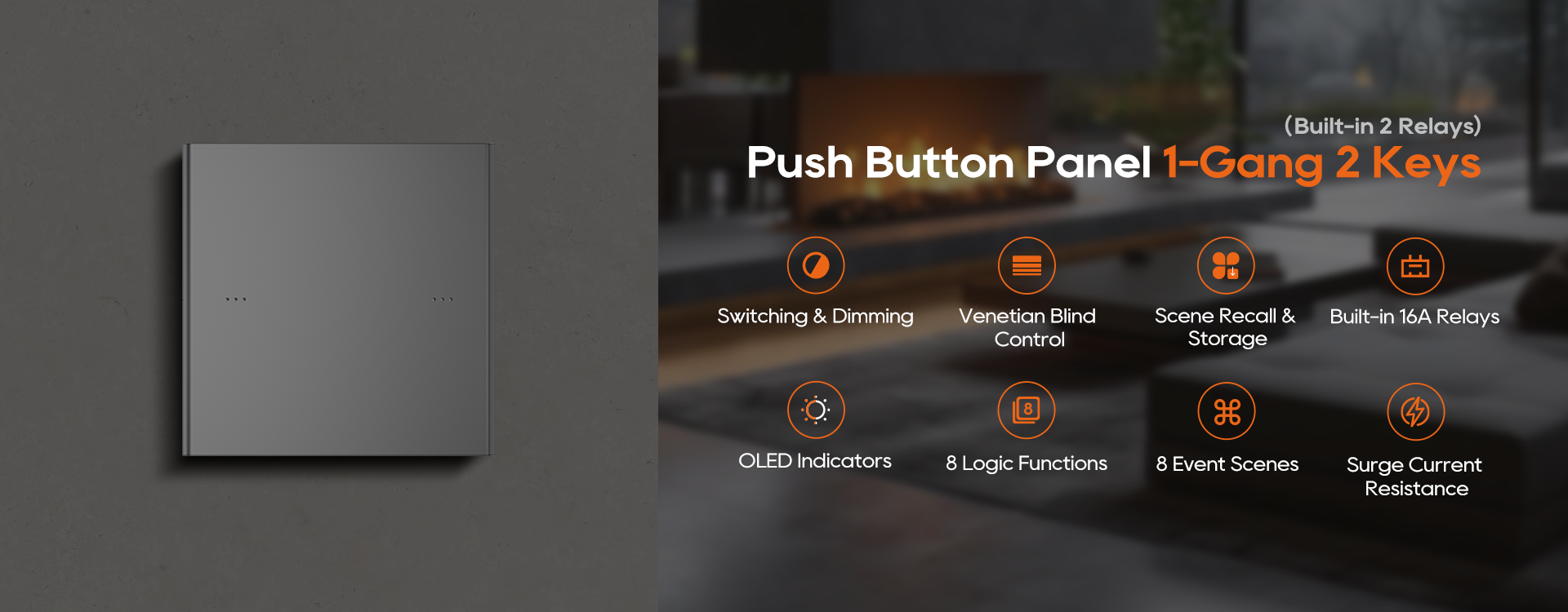 1-Gang 2-Button Push Button Panel with Built-in Relays Detail