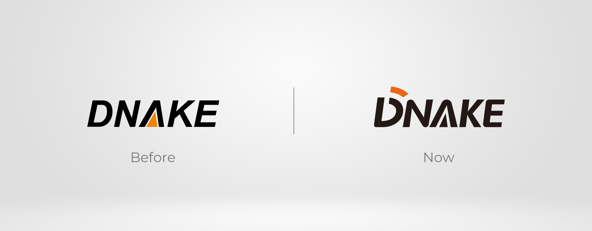 DNAKE New Logo Comparison
