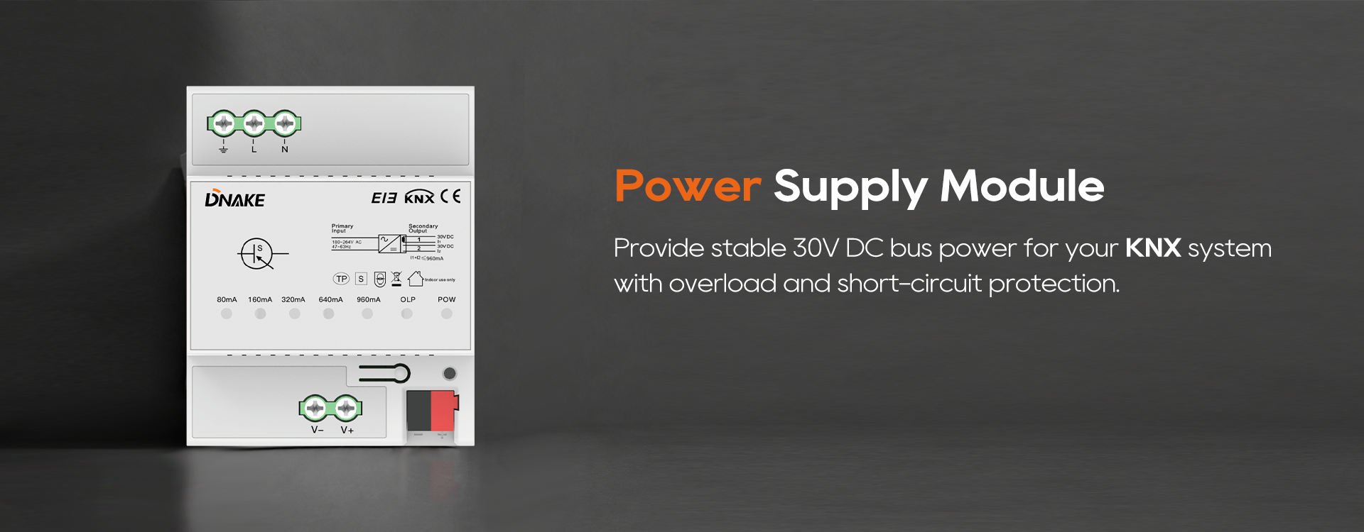 Power Supply Module (960mA) Detail NEW